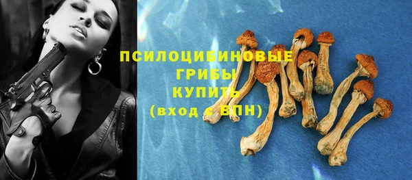 гашик Армянск